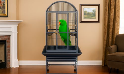 a&e stainless steel bird cage​